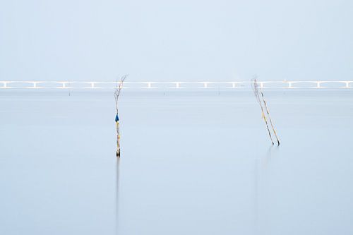 Escaut oriental, pont de Zélande, perches à moules.