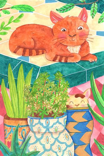 Cats in Rabat by Tamara Houtveen