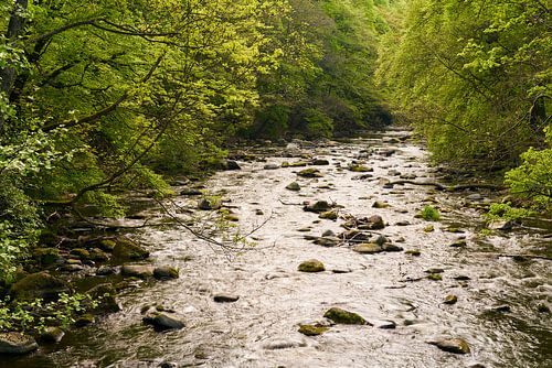 De rivier de Bode bij Thale in het Harzgebergte