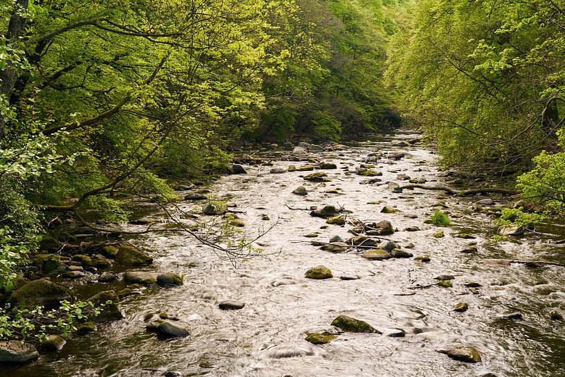 The river Bode near Thale in the Harz Mountains by Heiko Kueverling