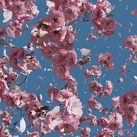 Falling cherry blossoms against a blue sky by Besa Art