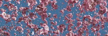 fallende Kirschblüten vor blauem Himmel von Besa Art