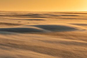 Sahara sur la mer des Wadden - Ameland naturel sur Anja Brouwer Fotografie