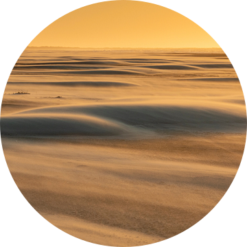 Sahara op de Wadden - Natuurlijk Ameland