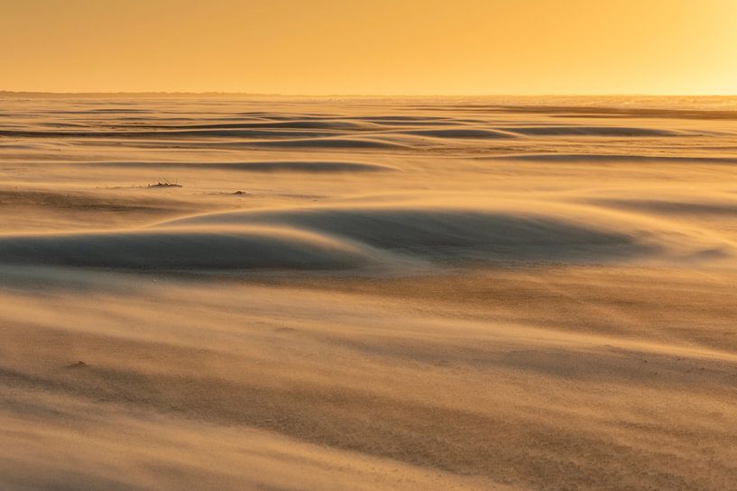 Sahara am Wattenmeer - Natürliches Ameland von Anja Brouwer Fotografie