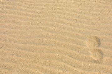 Un pas qui s'efface lentement dans la tempête de sable.