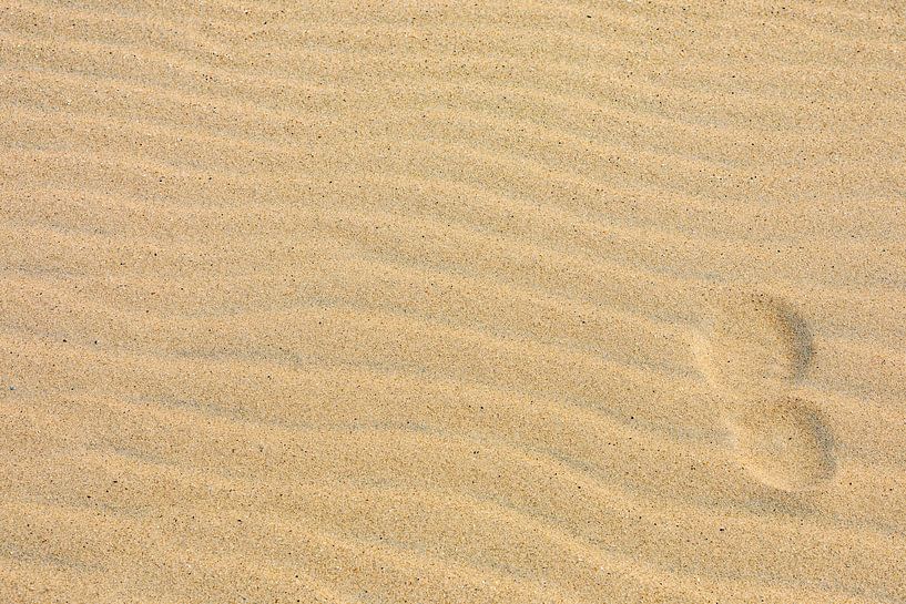 A Step that fades slowly in the sandstorm by Tjeerd Knier