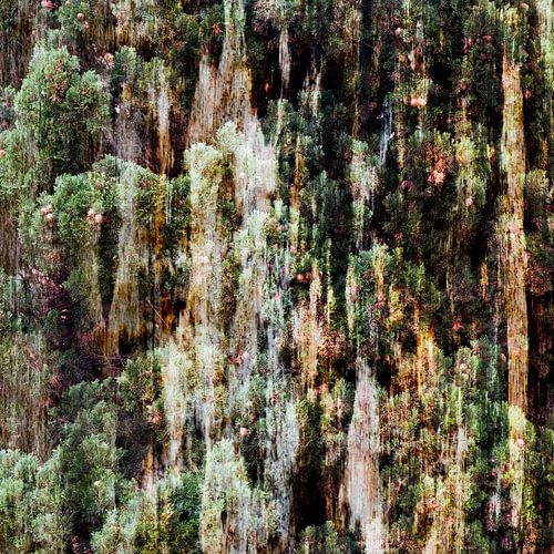 Caught in the Trees II