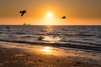 sunset at the beach
