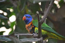 Hab dich gesehen von F.A.L.K.E. photografy and art