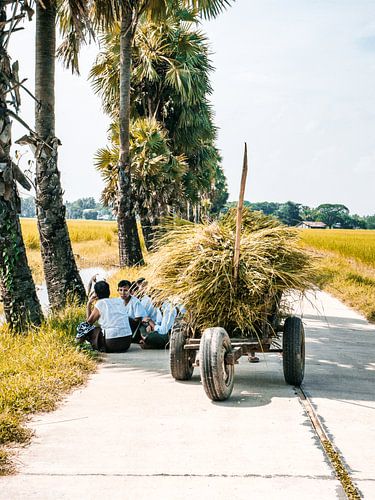 Birmaanse jongens in het gras op het platteland in de buurt van Yangon (Rangoon), Myanmar