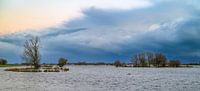 Donkere lucht boven de IJssel van Sjoerd van der Wal Fotografie thumbnail
