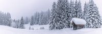 Panoramafoto van een besneeuwde hut in de Alpen van Thomas Heitz thumbnail