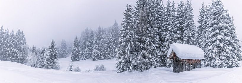 Panoramafoto van een besneeuwde hut in de Alpen van Thomas Heitz