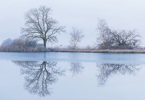 Natuurgebied Nationaal Park Dwingelderveld (Drenthe) - Nederland