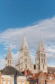 Onze-Lieve-Vrouw van Doornik van Richard Wareham