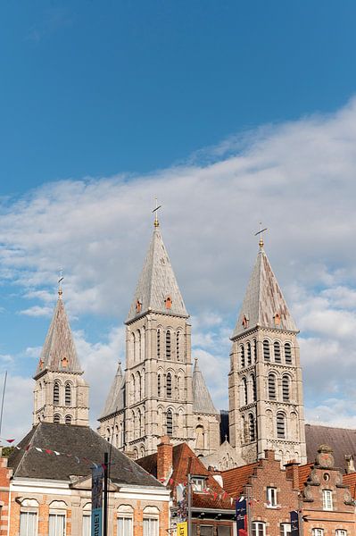 Our Lady of Tournai by Richard Wareham