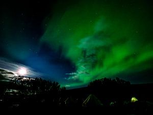 Noorderlicht, Aurora Borealis, IJsland van Eddy Westdijk