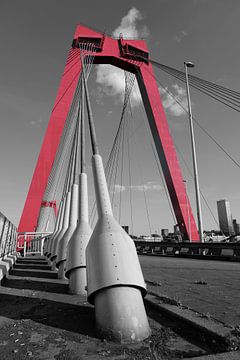 Willemsbrug, Rotterdam van Framed by Elisabeth