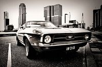 Ford Mustang in Rotterdam