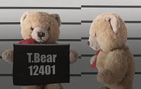 Teddy bear mugshot