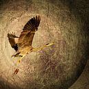 Wabi- Sabi. Heron. by Alie Ekkelenkamp thumbnail