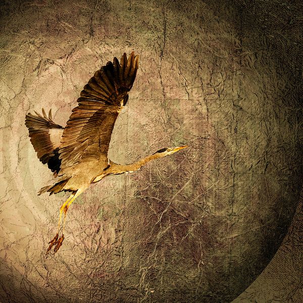 Wabi- Sabi. Heron. by Alie Ekkelenkamp