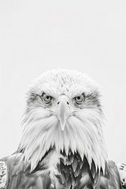 Adler von Poster Art Shop