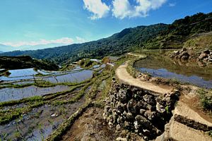 Atemberaubende Landschaft in Maligcong, Philippinen