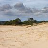 Zandvlakte met kleine duintjes op het Hulshorsterzand van Margreet Frowijn