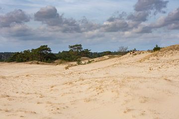Zandvlakte met kleine duintjes op het Hulshorsterzand