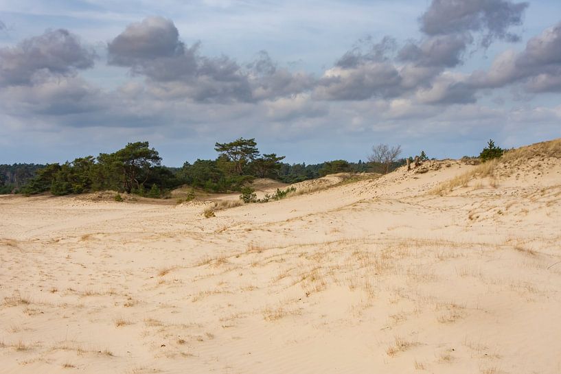 Hulshorsterzand by Margreet Frowijn