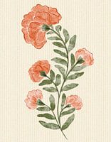 Marigold Flowers