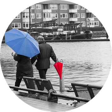 Kleurrijk in de regen van Rolf Pötsch