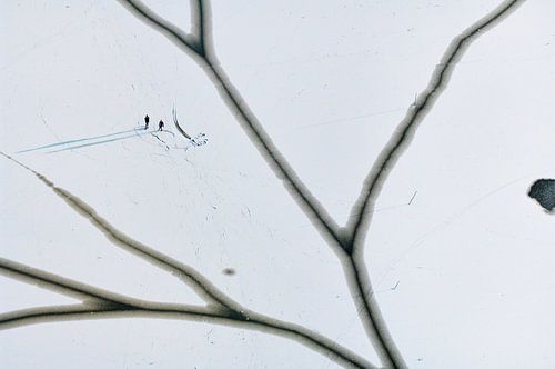 Vue aérienne de patineurs sur les lacs gelés et enneigés de Loosdrecht