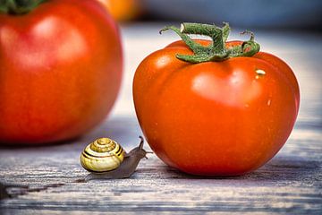 Lekkere tomaat en betrapt van Rudi Everaert