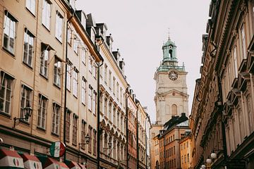 Stockholm Zweden straat in de herfst van sonja koning