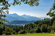 Panorama Chiemgau Alpen von Peter Baier Miniaturansicht