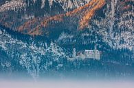 Neuschwanstein Castle, Allgäu, Bavaria, Germany by Henk Meijer Photography thumbnail
