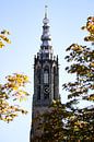 Long John Tower in Amersfoort - Onze Lieve Vrouwetoren by Denise Spijker thumbnail