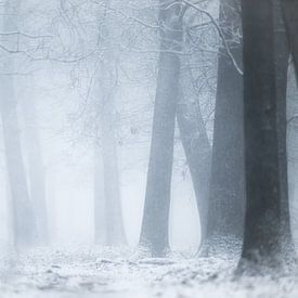 Hirsche im Nebel von Elbert-Jan Achterberg