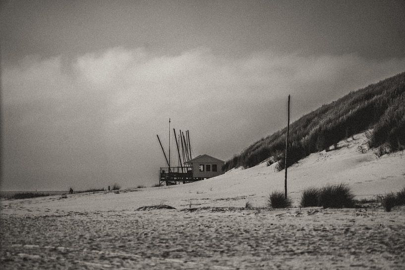 Ein Strandhaus auf Ameland von Images by Saskia - Foto & Film