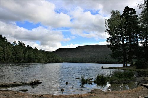 Mehr in den schottischen Highlands von Floortje Mink