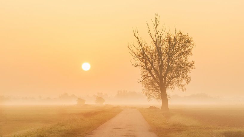The Osse Polder by Hans van der Grient