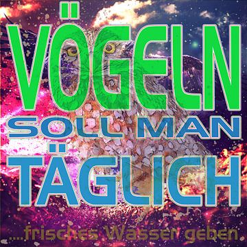 Vögeln soll man täglich...... fWg von ADLER & Co / Caj Kessler