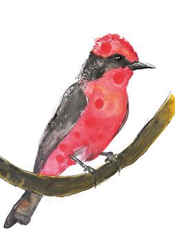 Roter Kardinal - Kunstdruck einer speziellen Vogelillustration von Angela Peters