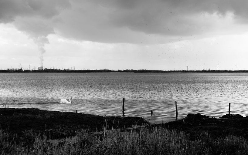 Nature vs. Industry... by Maurice Weststrate