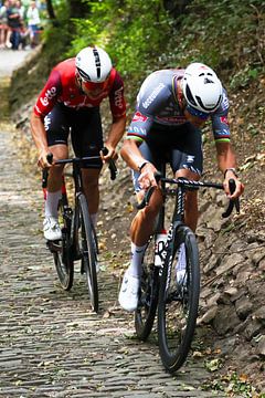 Mathieu van der Poel en Arnaud De Lie op de muur van Geraardsbergen van FreddyFinn