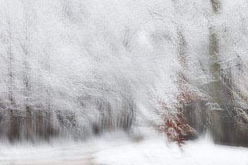 Winter in de Averegten van Ingrid Van Damme fotografie