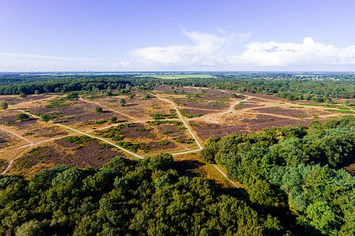 De Hoorneboegse Heide vanuit de lucht [07]